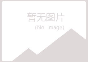 安阳北关雅山采矿有限公司